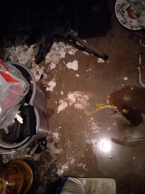 新门内部资料内部网站和一地下室惊现大鱼池与地下室 鱼池